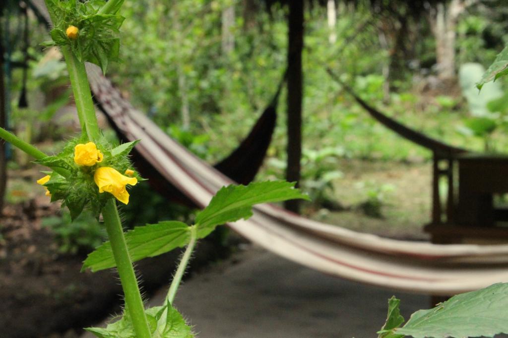 Shimiyacu Amazon Lodge Tarapoto Extérieur photo