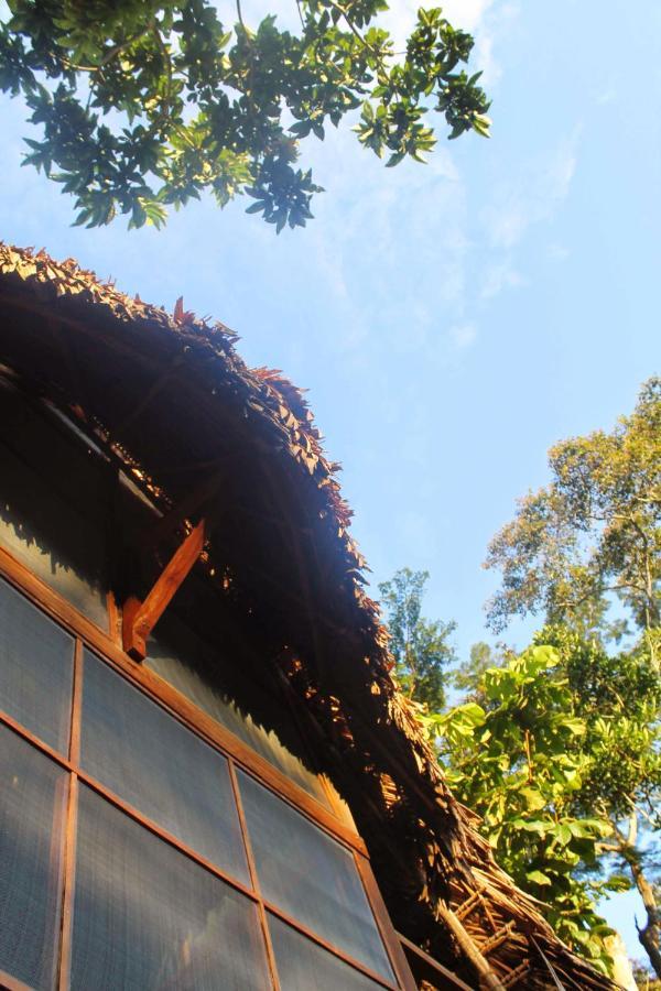 Shimiyacu Amazon Lodge Tarapoto Extérieur photo