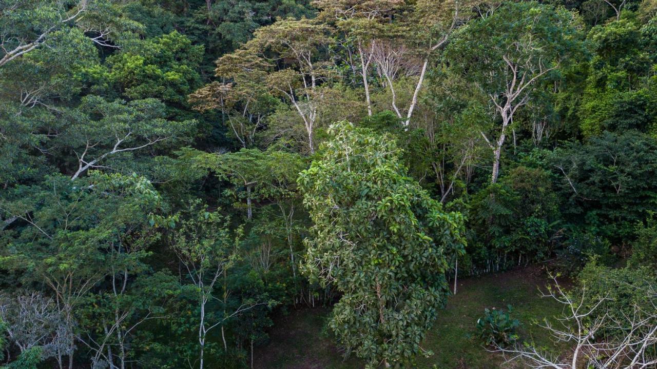 Shimiyacu Amazon Lodge Tarapoto Extérieur photo